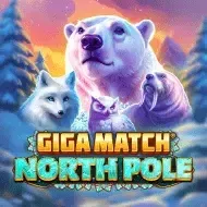 Giga Match North PoleRubyplay